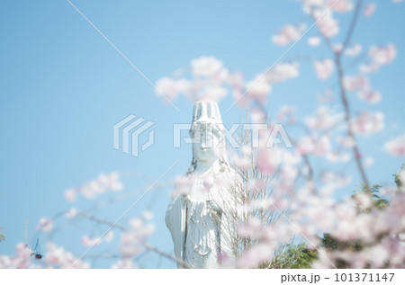 虎渓公園のしだれ桜 101371147