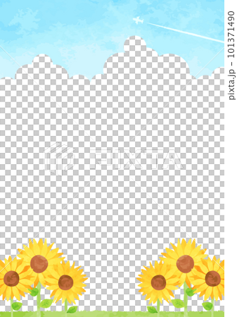 Landscape illustration with blue sky, sunflower field and white clouds 101371490
