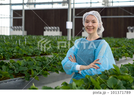 Caucasian female fruit researcher in isolation gown and disposable polyester synthetic fiber hairnet stand with arms crossed with confidence in indoor strawberries farm. 101371789