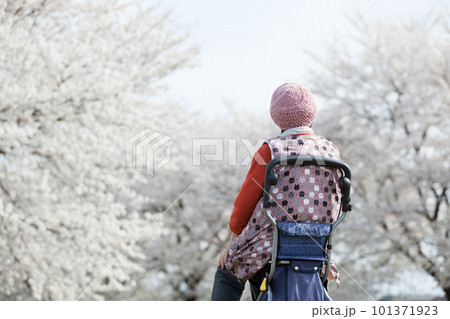 お花見をする老人 101371923