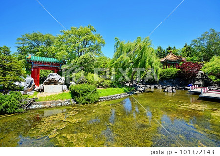 百合が原公園 (北海道札幌市北区) 百合が原公園 (北海道札幌市北区) 101372143