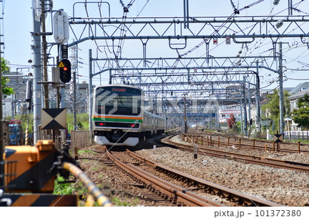 東海道線 鎌倉(客貨)踏切 東海道線 鎌倉(客貨)踏切 101372380