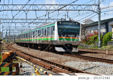 東海道線 鎌倉(客貨)踏切 東海道線 鎌倉(客貨)踏切 101372382