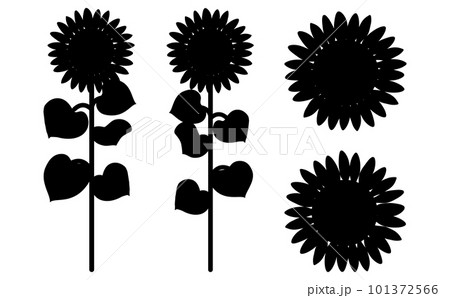 ひまわりの全体像と花を黒のシルエットで描いたイラストセット ひまわりの全体像と花を黒のシルエットで描いたイラストセット 101372566