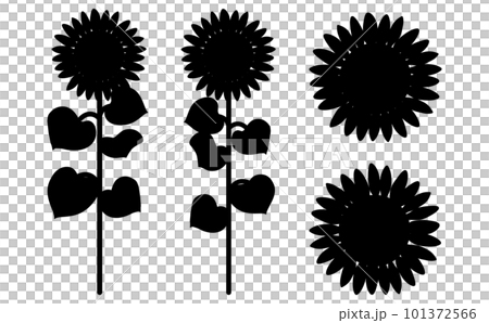 ひまわりの全体像と花を黒のシルエットで描いたイラストセット ひまわりの全体像と花を黒のシルエットで描いたイラストセット 101372566