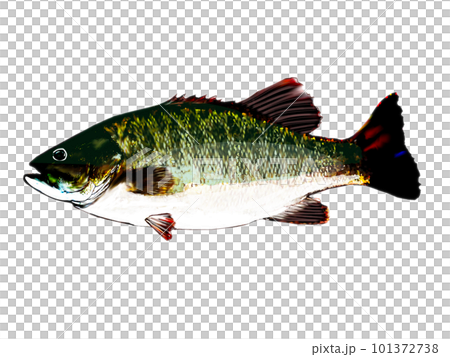 水彩巴士 101372738