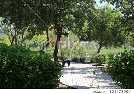 walkway in the garden 101372906