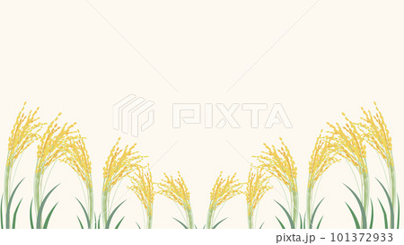 稲穂の背景イラスト 101372933