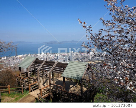 青の山山頂の桜【香川県丸亀市、綾歌郡宇多津町】10 青の山山頂の桜【香川県丸亀市、綾歌郡宇多津町】10 101373007