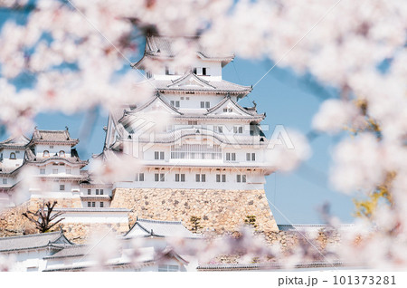 Blooming cherry flower with himeji castle. Popular spot traveling in Hyogo Prefecture. Blooming cherry flower with himeji castle. Popular spot traveling in Hyogo Prefecture. 101373281