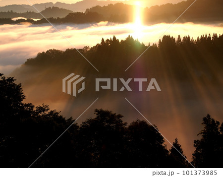 十日町市の松代城址、朝日に照らされる雲海と谷間 十日町市の松代城址、朝日に照らされる雲海と谷間 101373985