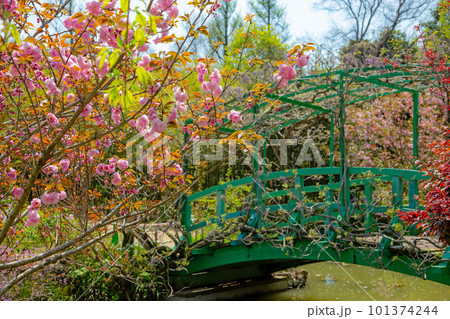 花にあふれる浜名湖ガーデンパーク、モネの池 101374244