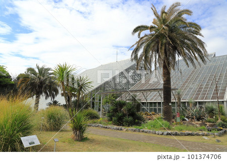 国立科学博物館　筑波実験植物園　茨城県つくば市 101374706