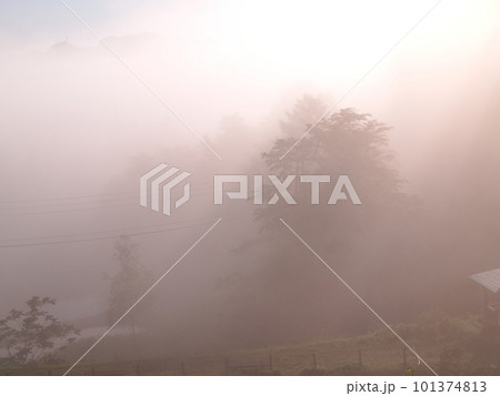 十日町市の松代城址、朝霧に包まれる早朝の棚田風景 101374813