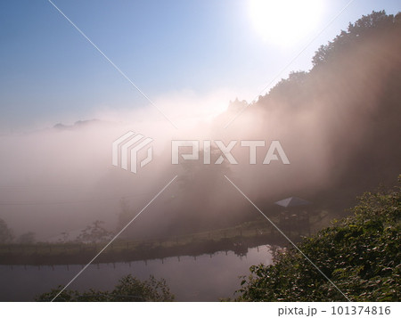 十日町市の松代城址、朝霧に包まれる早朝の棚田風景 101374816