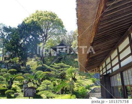 静岡県　龍華寺　龍潜園と七面倒　4月 101375758