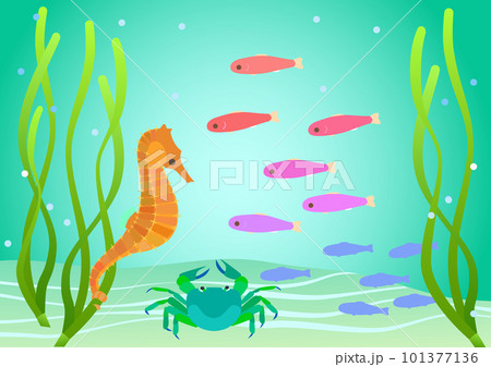 アマモ場に棲む海の生き物のカラフルな漫画風イラスト 101377136
