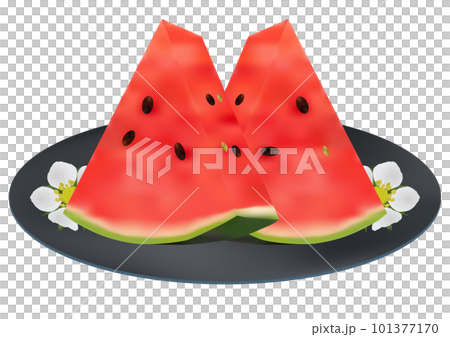 お皿に盛られた「三角形にカットした赤色の小玉スイカ」二切れ  青皿  花柄 101377170