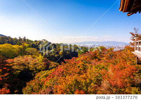 秋の京都・清水寺で見た、色付く紅葉と京都市街地の風景 101377270