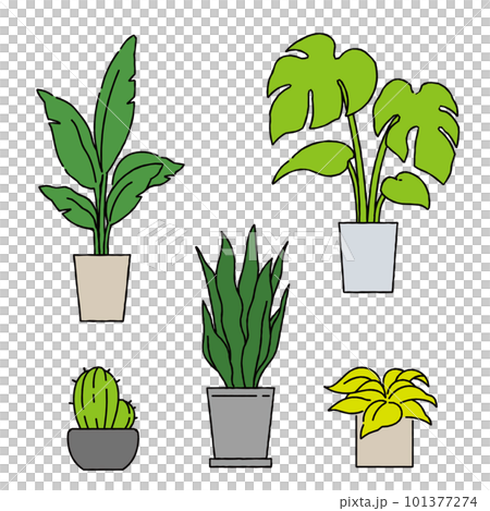 一個簡單的觀葉植物的插圖 101377274