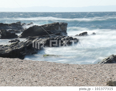 城ケ島の海岸に打ち寄せる波 101377315