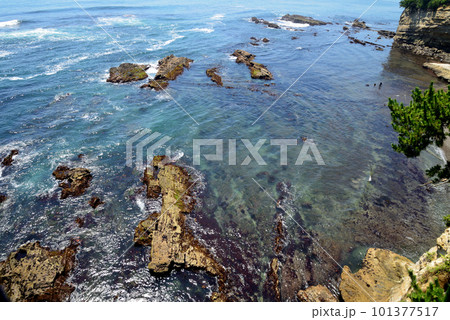 小名浜・三崎公園へ行きました　＃58 101377517