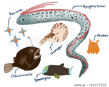 深海魚イラスト 101377529