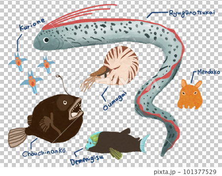 深海魚イラスト 101377529