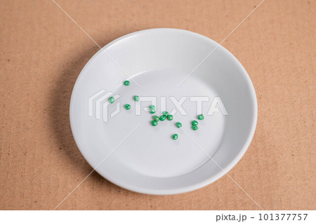 二十日大根のタネ 二十日大根のタネ 101377757