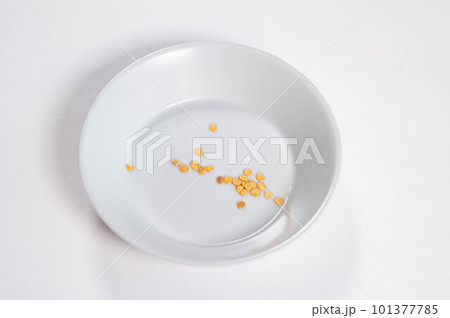 長崎長なすの種 101377785