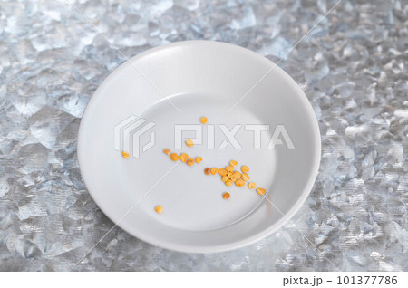 長崎長なすの種 101377786