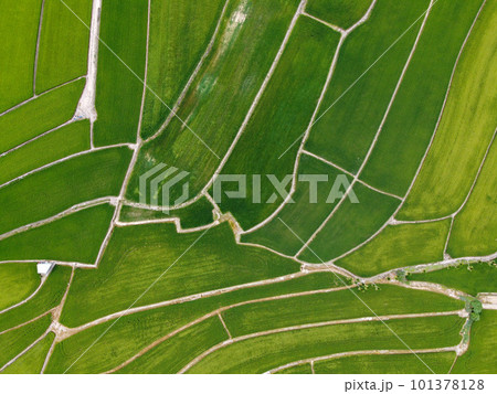 農耕 農業 耕作 101378128