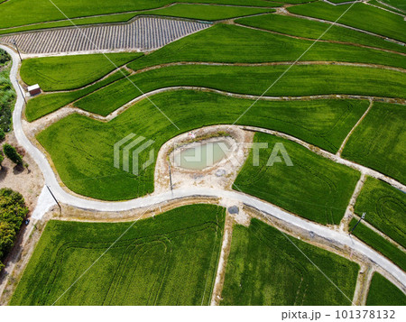 農耕 農業 耕作 101378132