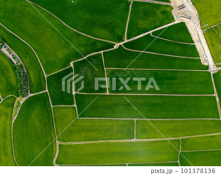 農耕 農業 耕作 101378136