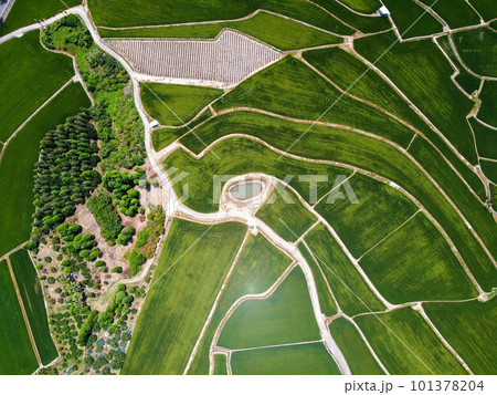 景色 風景 鳥瞰図 101378204