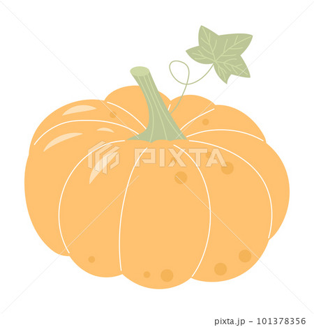 Pastel boho pumpkin isolated on white background.  101378356