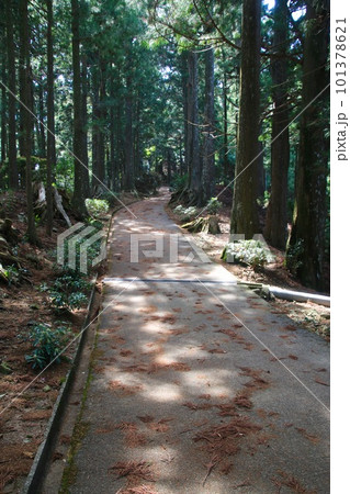 木漏れ日が差し込む参道・太龍寺・第21番札所（徳島県・四国遍路） 101378621