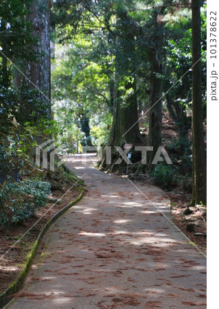 木漏れ日が差し込む参道・太龍寺・第21番札所（徳島県・四国遍路） 101378622