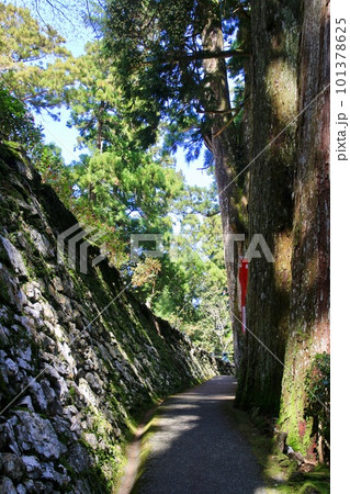 木漏れ日が差し込む参道・太龍寺・第21番札所（徳島県・四国遍路） 101378625