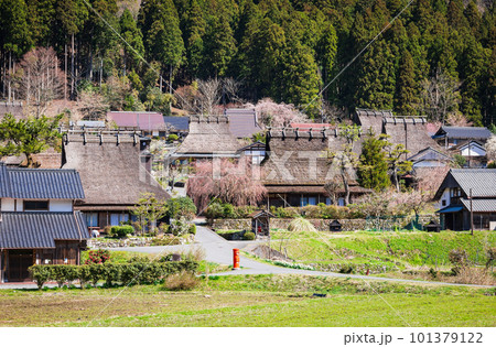 日本の原風景　京都美山　かやぶきの里の春景 101379122