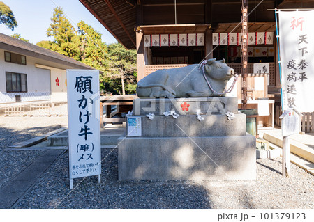 見付天神 矢奈比賣神社 願かけ牛 見付天神 矢奈比賣神社 願かけ牛 101379123