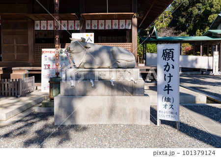 見付天神 矢奈比賣神社 願かけ牛 見付天神 矢奈比賣神社 願かけ牛 101379124
