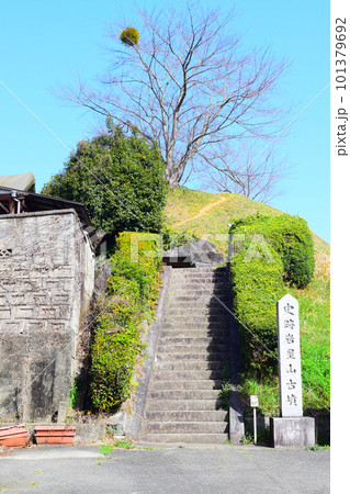 【国指定史跡】岩屋山古墳 101379692