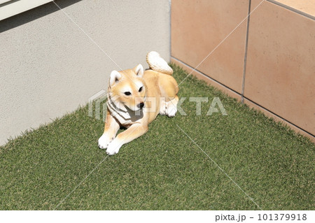 仔犬の柴犬の置物 仔犬の柴犬の置物 101379918