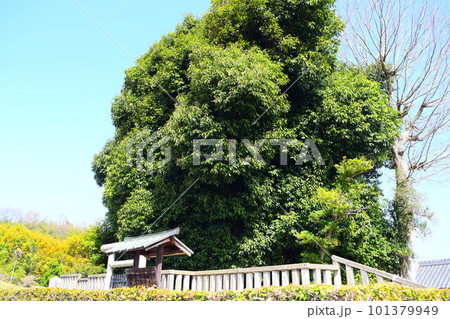 吉備姫王墓 101379949