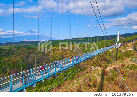 静岡県の三島スカイウォーク(吊橋)と富士山 101379955
