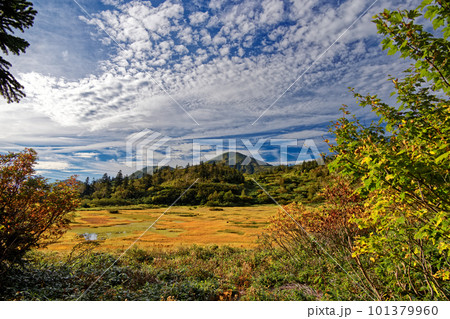 草紅葉の妙高連峰・高谷池と火打山 草紅葉の妙高連峰・高谷池と火打山 101379960