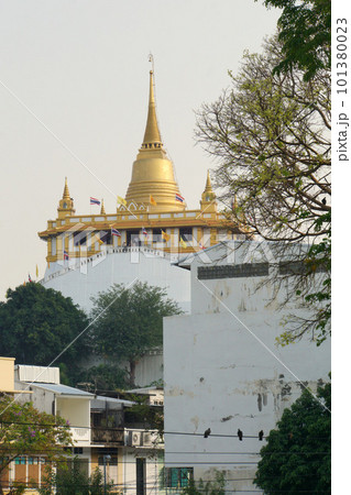 Wat Saket（The Golden Mount） in Bangkok, Thailand 101380023