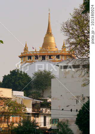 Wat Saket temple in Bangkok, Thailand Wat Saket temple in Bangkok, Thailand 101380024