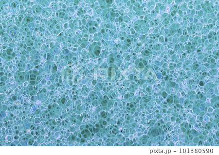 sponge detail texture 101380590